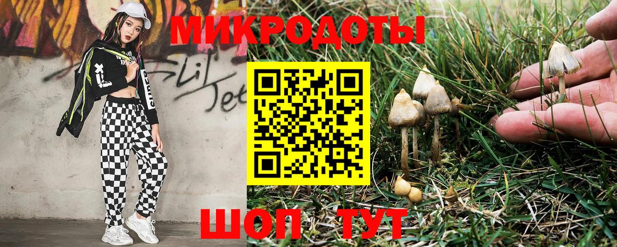 Мценск  Галлюциногенные грибы мухоморы  Вход с VPN 